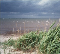 Ostsee Rerük